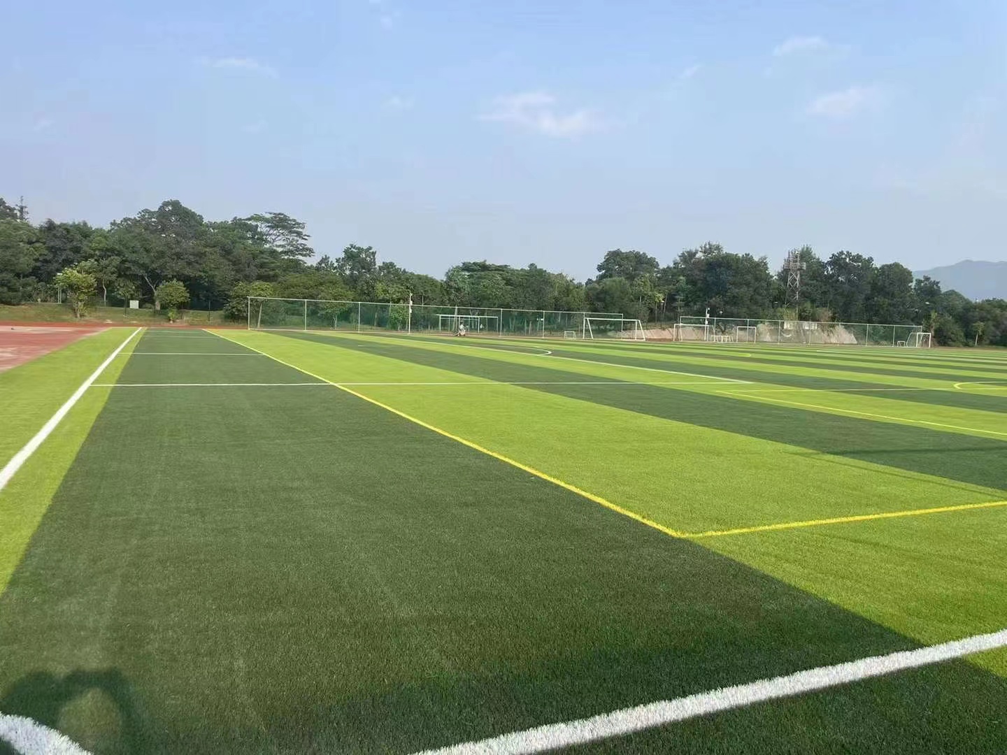 The Difference Between Artificial Turf And Natural Turf - MANGO SPORTS