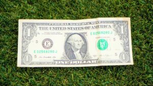 Who makes money from artificial grass?