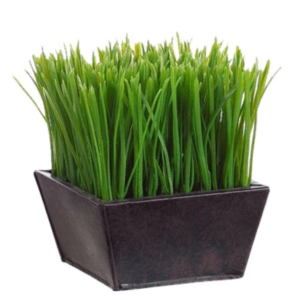 artificial-wheat-grass
