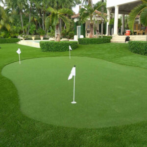 Golf Turf